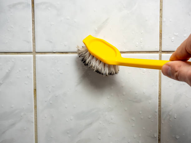 Best DIY Mold Remediation Support Services in Lake Forest, CA