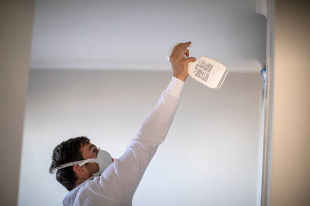 Best Residential Mold Remediation in Lake Forest, CA
