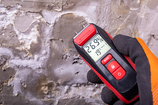 Best Bathroom Mold Remediation in Lake Forest, CA
